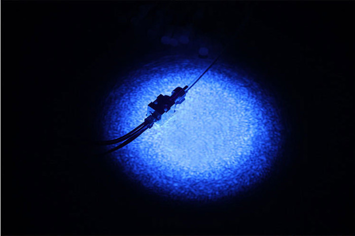 405nm 3W fiber laser Laser à fibre 3W 405 nm 3W